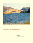 5. Moccasin Lake: A Gem Preserved