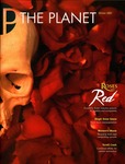 The Planet, 2007, Winter