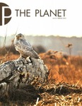 The Planet, 2012, Spring